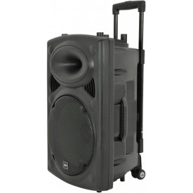 Boxa Troller Portabila Temeisheng 12Inch 300W - Img 2