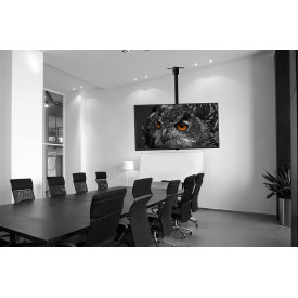 Suport brat telescopic Ecran TV Tavan/Perete, Monitor 14-42", Stativ ajustabil 53-88CM, max 30KG, VESA 100-200mm - Img 2