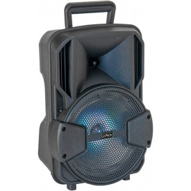 Boxa portabila 38x25x21cm + Stativ + Microfon, Bluetooth AUX USB Telecomanda - Img 5