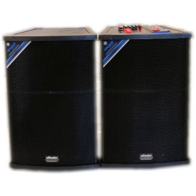 Boxe Stereo Active 15" 300W DS-2005, 2 Microfoane Wireless, Bluetooth, USB - Img 3