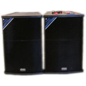 Boxe Stereo Active 15" 300W DS-2005, 2 Microfoane Wireless, Bluetooth, USB - Img 3