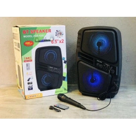 Boxa 2 x 6.5" Bluetooth, Acumulator 3000mAh, Portabila Picnic - Img 2