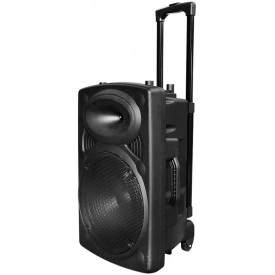 Boxa Troller Portabila Temeisheng 12Inch 300W - Img 5