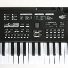 Orga electronica de copii (joaca initiere 3-7 ani) 61 clape 10 ritm  - Img 3