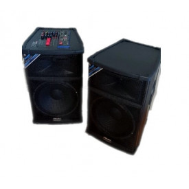 Boxe Stereo Active 15" 300W DS-2005, 2 Microfoane Wireless, Bluetooth, USB - Img 5