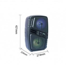 Boxa 2 x 6.5" Bluetooth, Acumulator 3000mAh, Portabila Picnic - Img 6