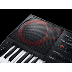 Orga electronica CT-X3000 CASIO, 61 clape Touch Response - Img 6