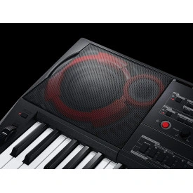 Orga electronica CT-X3000 CASIO, 61 clape Touch Response - Img 6