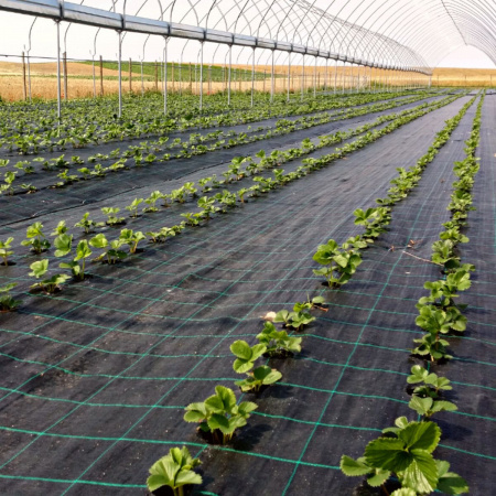 Agrotextil Antiburuieni, 4.2 x 100m, Negru