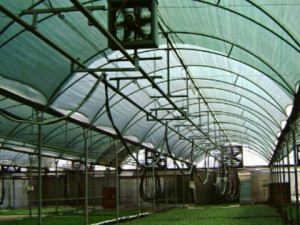 Plasa umbrire solar si sere, grad de umbrire 80%, 1.5 m x 50 m, Verde