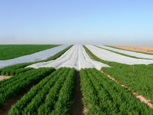 Folie microporoasa antiinghet, 6 m x 200 m, Alb