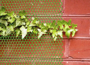 Gard plastic uz gospodaresc, 1.2 m x 25 m, Verde