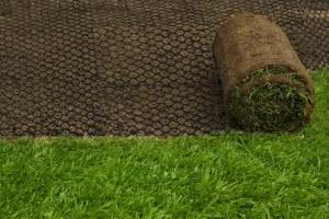 Plasa de protectie impotriva cartitelor, 1.2 m x 25 m, Negru