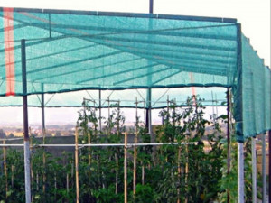 Plase de umbrire pentru solar si sere1
