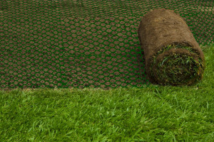 Plasa de protectie impotriva cartitelor, 1.2 m x 25 m, Verde