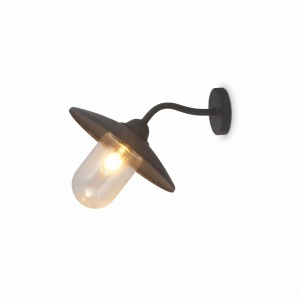 Zidna lampa u industrijskom stilu LDW01-03