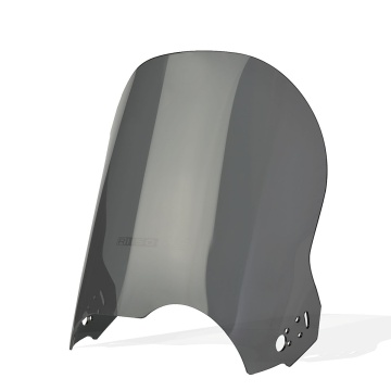 Parbriz Standard pentru BMW R 1150 GS 1999-2004 - Img 3