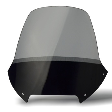 Parbriz Standard pentru BMW F 650 ST 1997-2007