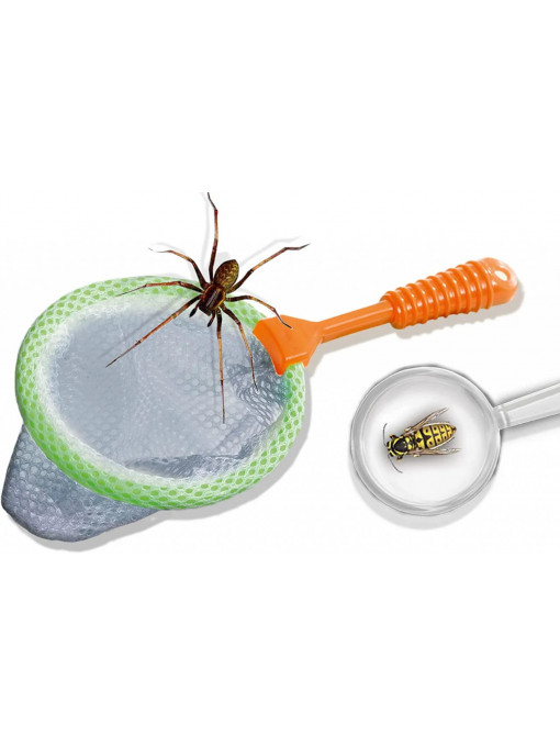 Ses Creative - Explorator de insecte