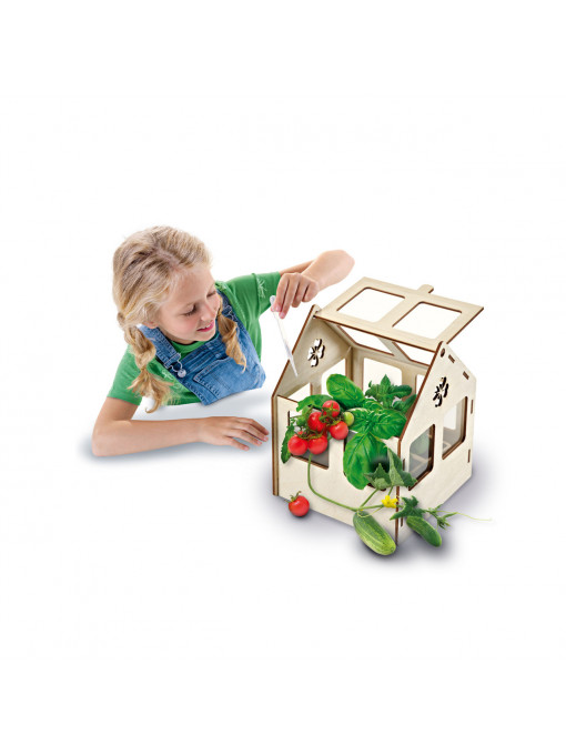Set creativ - Sera de legume