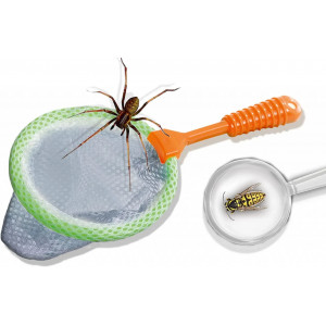 Ses Creative - Explorator de insecte - Img 1
