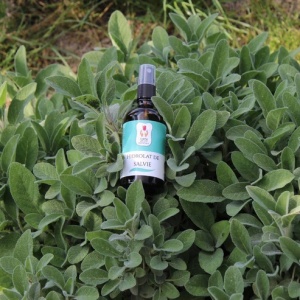 Hidrolat de Salvia Officinalis 100ml - Img 3