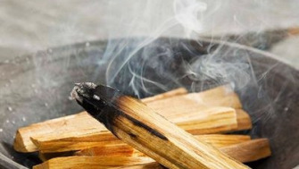 Beneficiile si proprietatile lemnului de Palo Santo