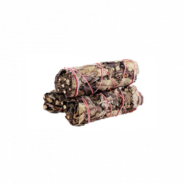 salvie neagra