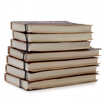 jurnal din piele
