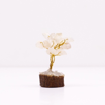 arbore cuart transparent