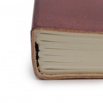 jurnal din piele