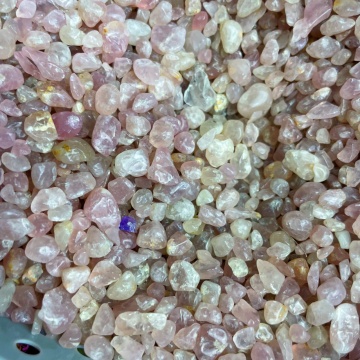 cuart roz chips