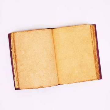jurnal agenda premium piele