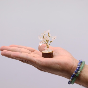 arbore cuart transparent