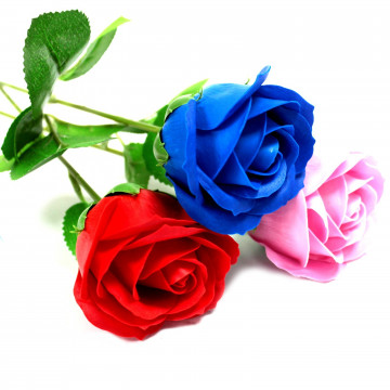 floare de sapuun