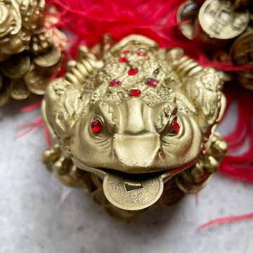 broasca feng shui