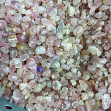 cuart roz chips