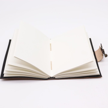 jurnal agenda piele