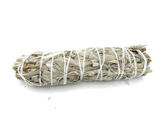 buchet salvie alba 15cm