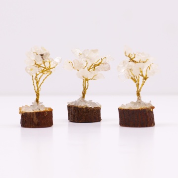 arbore cuart transparent