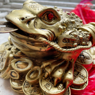 broasca feng shui