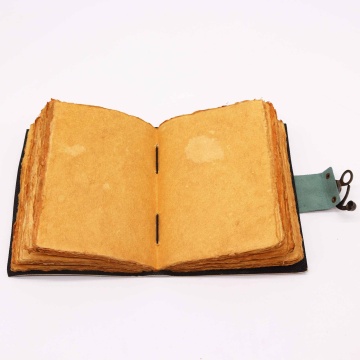 jurnal agenda piele