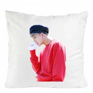 PERNA CU MONSTA X JOOHEON