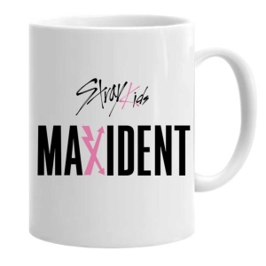 Cana stray kids stay maxident logo