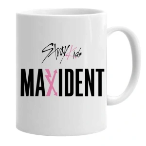 Cana stray kids stay maxident logo