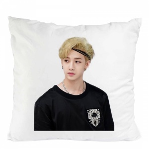 Perna stray kids bang chan skz stay