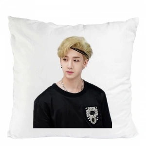 Perna stray kids bang chan skz stay