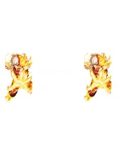CANA TODOROKI NO ACADEMIA - Img 2
