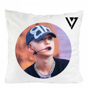 Perna seventeen trupa kpop hoshi