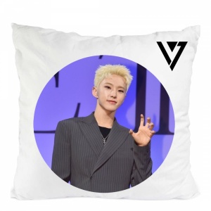 Perna seventeen kpop hoshi